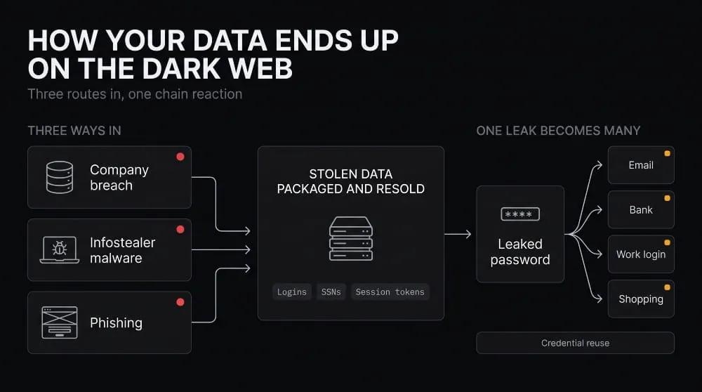 How Your Data Ends Up on the Dark Web